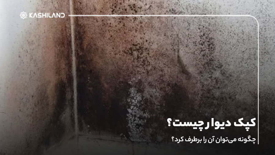 کپک دیوار چیست و چگونه می‌توان آن را برطرف کرد؟