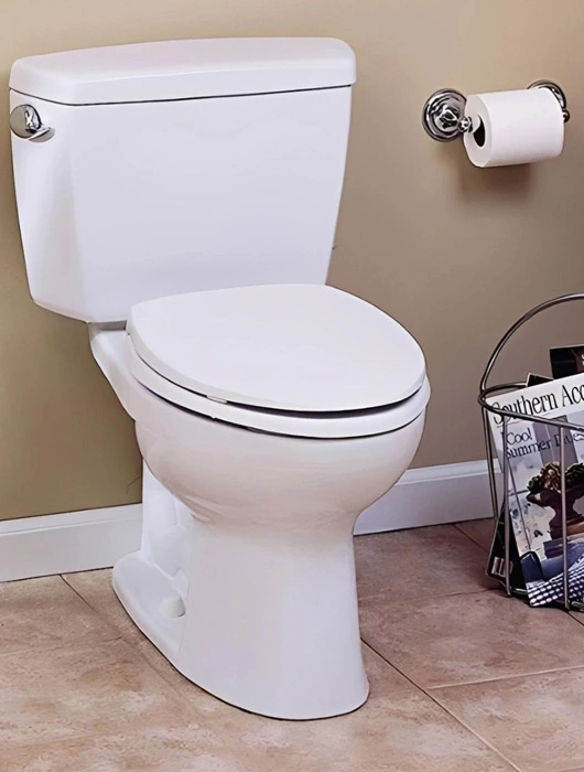 توالت فرنگی دوتکه (Two-Piece Toilet)