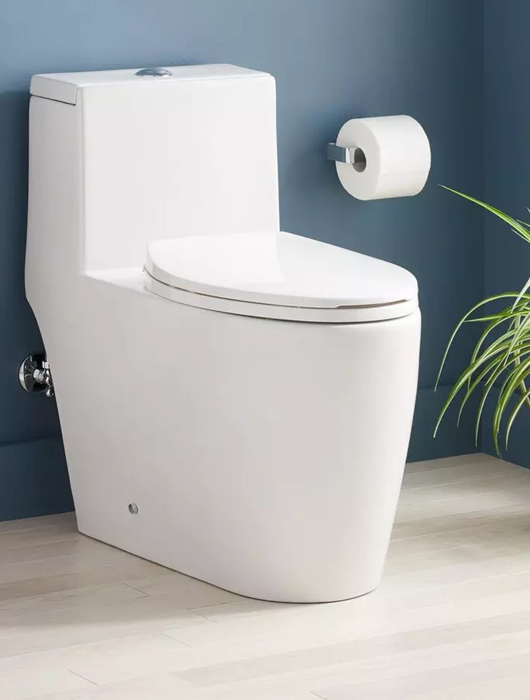 توالت فرنگی یک‌تکه (One-Piece Toilet)
